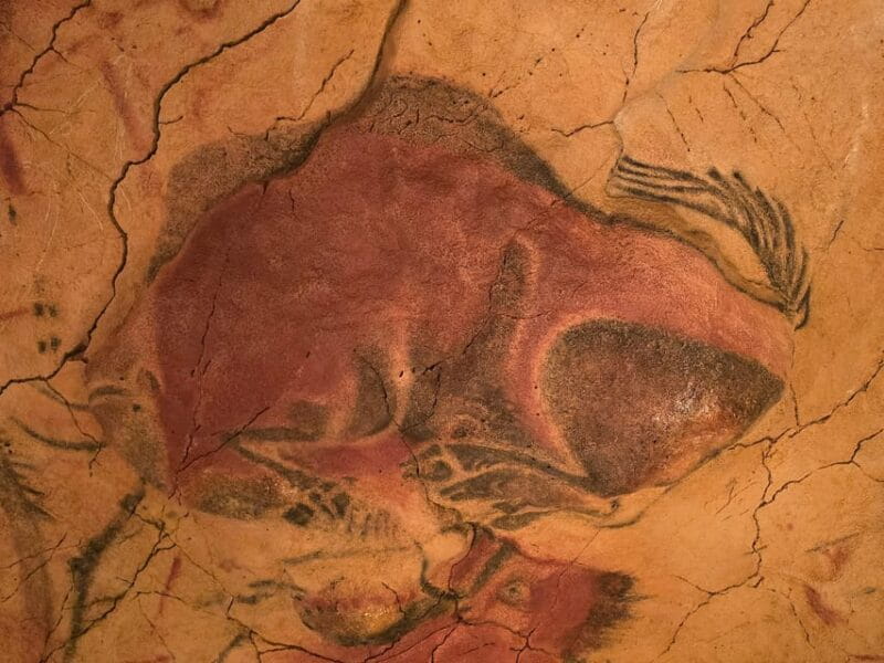 Private visit Altamira Museum and Neocave: the fascination of prehistory - The Practical Aspects: What You Need to Know