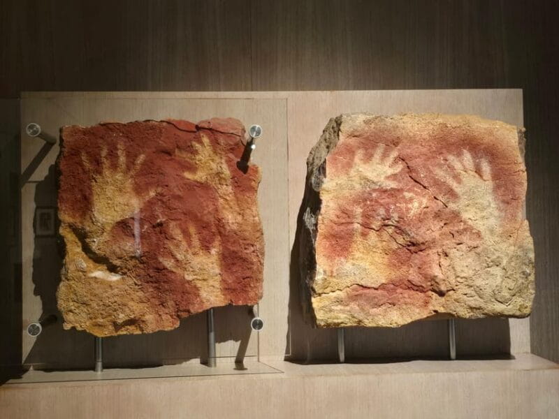 Private visit Altamira Museum and Neocave: the fascination of prehistory - Price and Value: Is It Worth It?