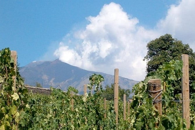 Private visit to the cellars of Etna with wine tasting - Exploring the Heart of Etna’s Vineyards