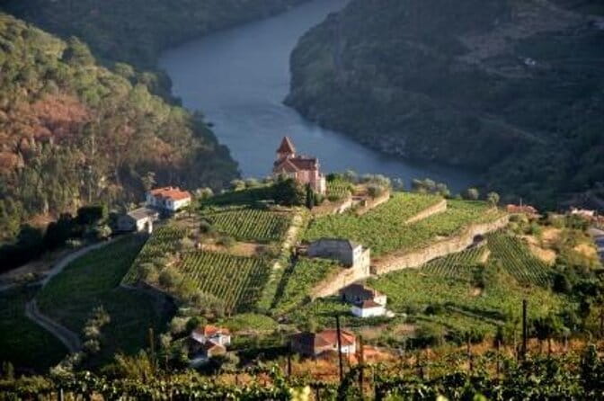 Private visit with wine tasting in Alijó Douro - Discovering Quinta da Faísca: An Intimate Douro Wine Experience