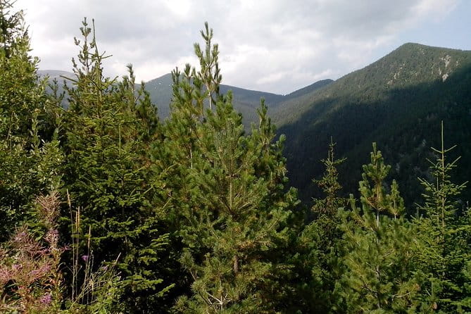 Private Vitosha Mountains Hiking with Black peak & Dragalevtsi Monastery - Who Is This Tour Best For?