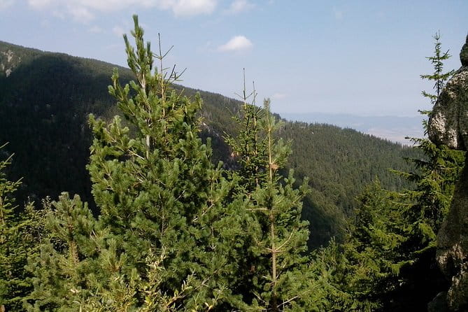 Private Vitosha Mountains Hiking with Black peak & Dragalevtsi Monastery - Frequently Asked Questions