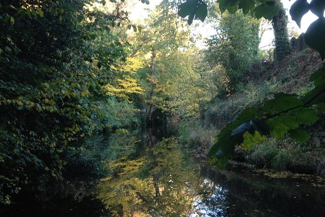 Private Walk: Country in the City - Key Points / Takeaways