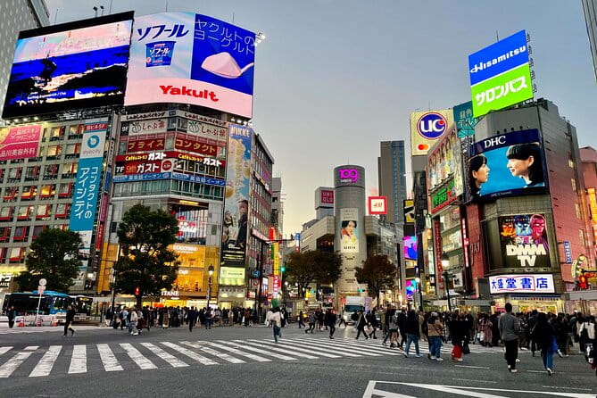 Private Walking Tour in Tokyo - Perfect for First-Time Visitors - Accessibility and Participation