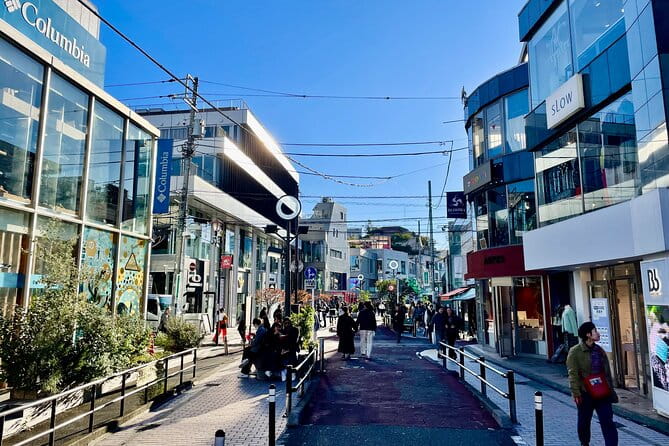 Private Walking Tour in Tokyo - Perfect for First-Time Visitors - Tour Experience and Highlights