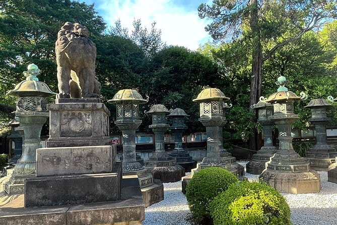 Private Walking Tour in Tokyo With a Local Guide - What to Expect From Your Local Guide