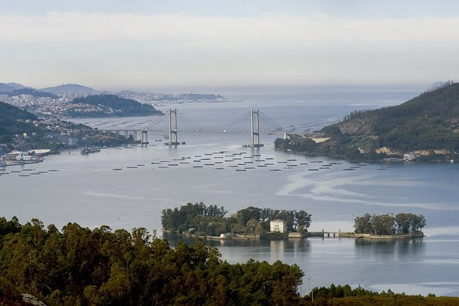 Private walking tour in Vigo - An In-Depth Look at the Vigo Walking Tour Experience