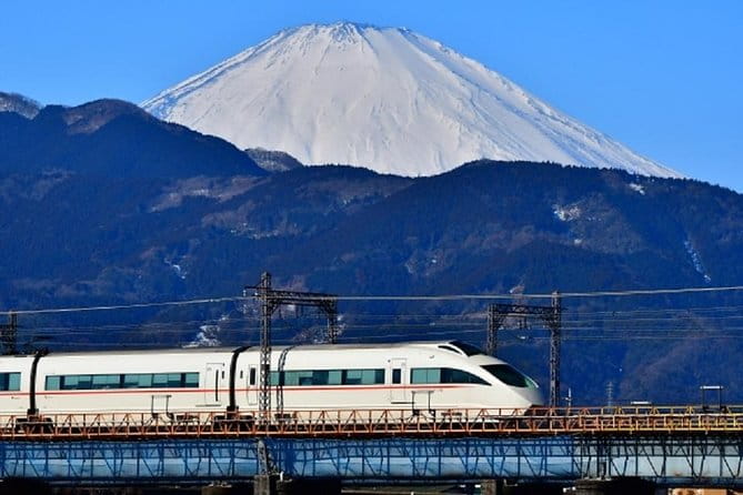 Private Walking Tour of Hakone. Price per Group - Meeting and Pickup