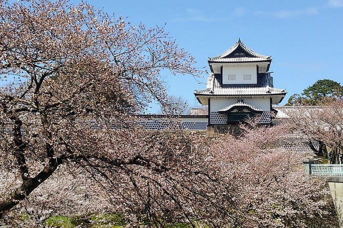 Private Walking Tour of Kanazawas Historical Districts 4h - Highlights of Kanazawa