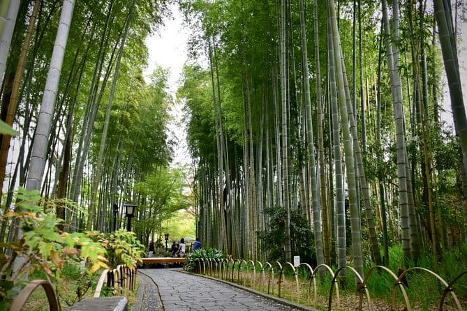 Private West IZU Uncovered Tour Cave Cruise and Monkey Encounter - Pickup and Transportation Details