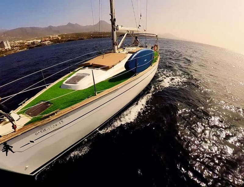 Private Whales & Dolphins Excursion: for you exclusively! - Food, Drinks, and the Soundtrack of Your Trip