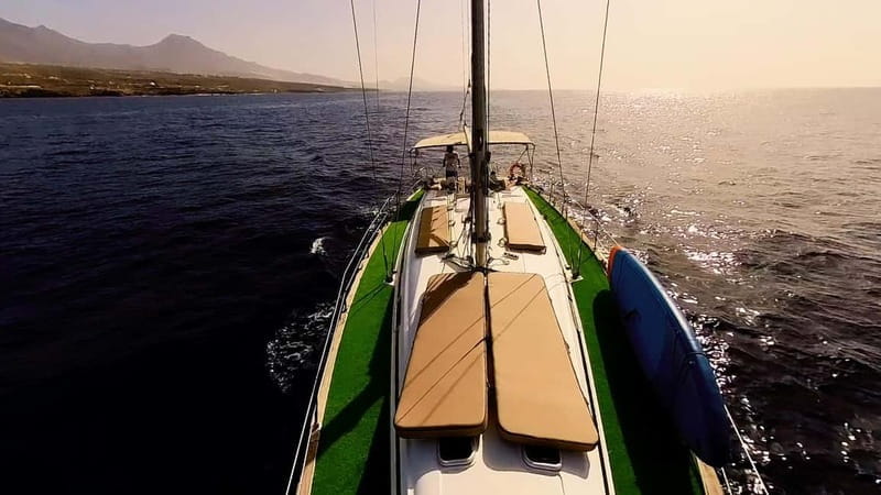 Private Whales & Dolphins Excursion: for you exclusively! - Logistics: What to Know Before You Book