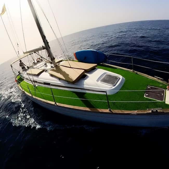 Private Whales & Dolphins Excursion: for you exclusively! - Final Thoughts: Is This Experience Worth It?