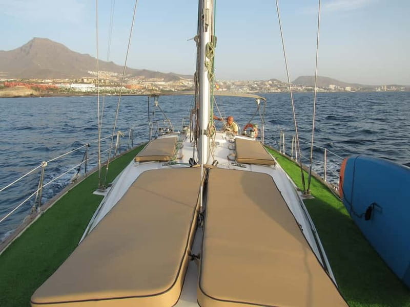 Private Whales & Dolphins Excursion: for you exclusively! - FAQ