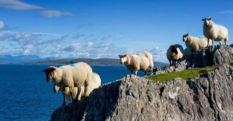 Private Wild Atlantic Day Tour from Cork - The Itinerary: What Can You Expect?