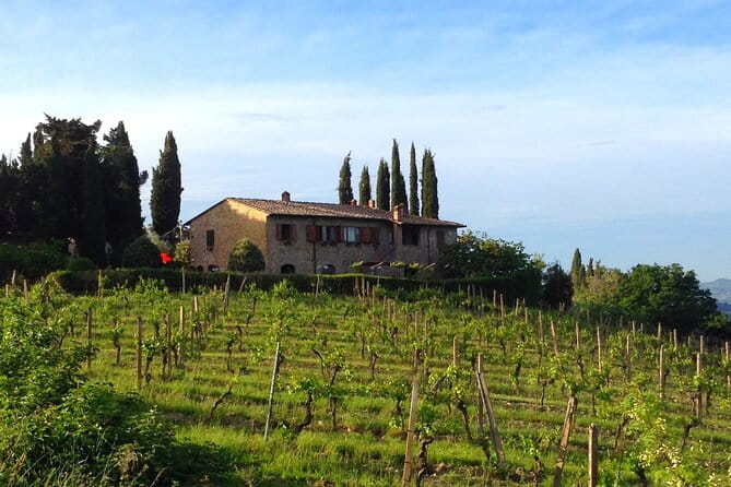 Private wine & EVO Oil Tasting with Tuscan Meal - Frequently Asked Questions