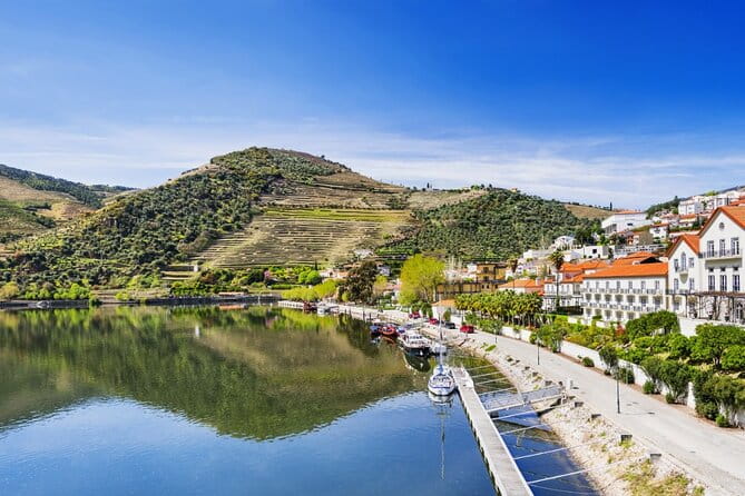 Private Wine & Food Tour in Douro - Arriving and Starting the Day