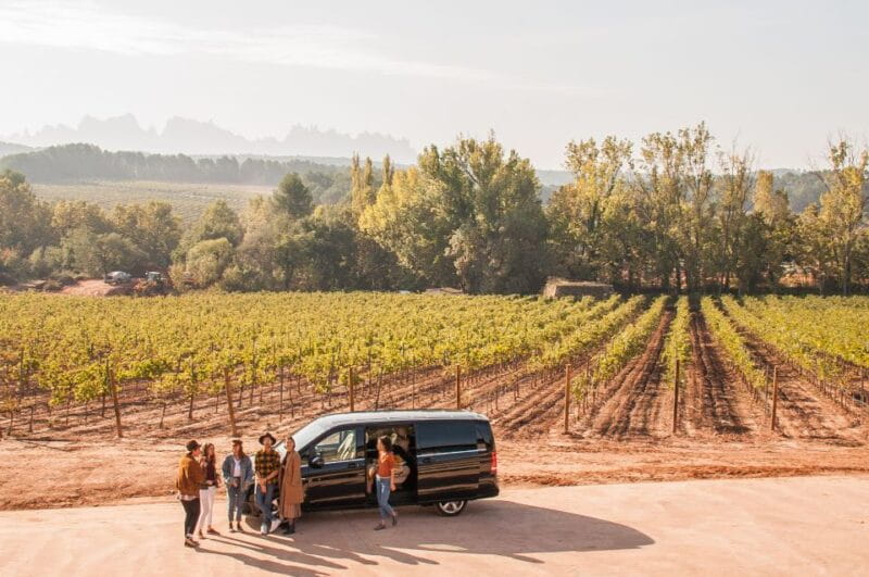 Private Wine, Tapas & Cava Experience from Barcelona - Key points/Takeaways