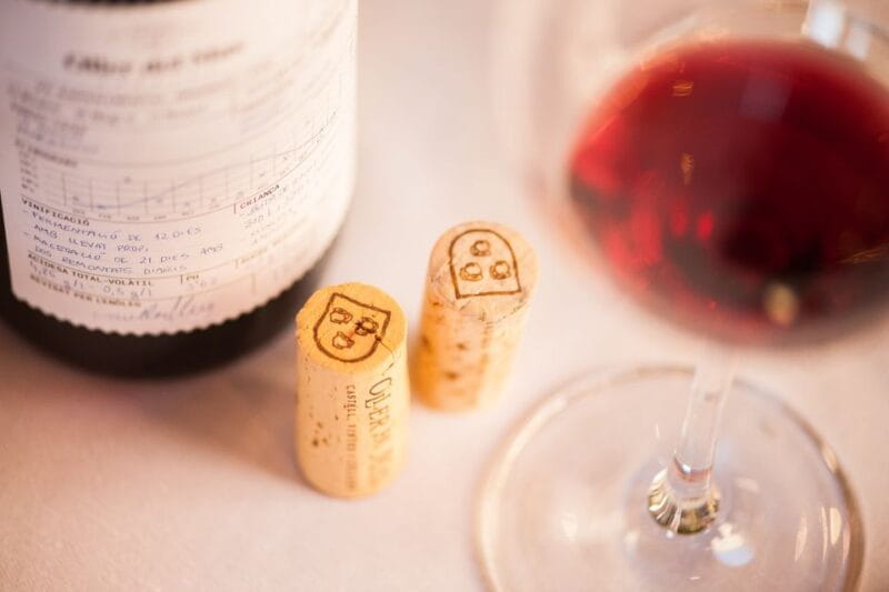 Private Wine, Tapas & Cava Experience from Barcelona - Final Thoughts: Is This Tour Worth It?