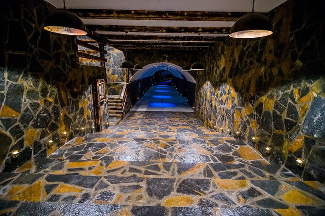 Private Wine Tasting Activity at Lipovac Winery - Introduction to Lipovac Winery: Montenegro’s Largest Private Vineyard