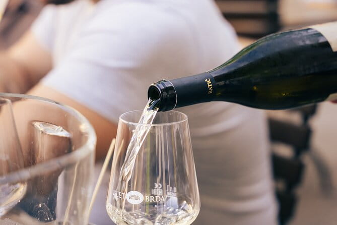 Private Wine Tasting Experience in Ljubljana - Key Points