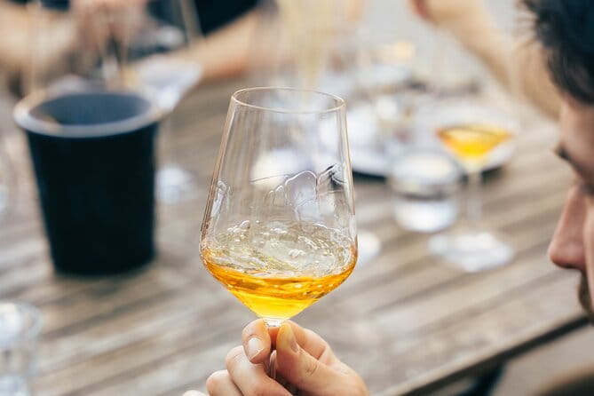 Private Wine Tasting Experience in Ljubljana - The Intimate Charm of Ljubljana’s Local Wine Scene