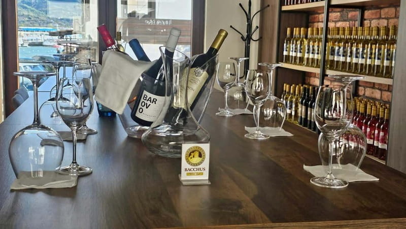 Private Wine Tasting Ohrid - The Setting and Atmosphere