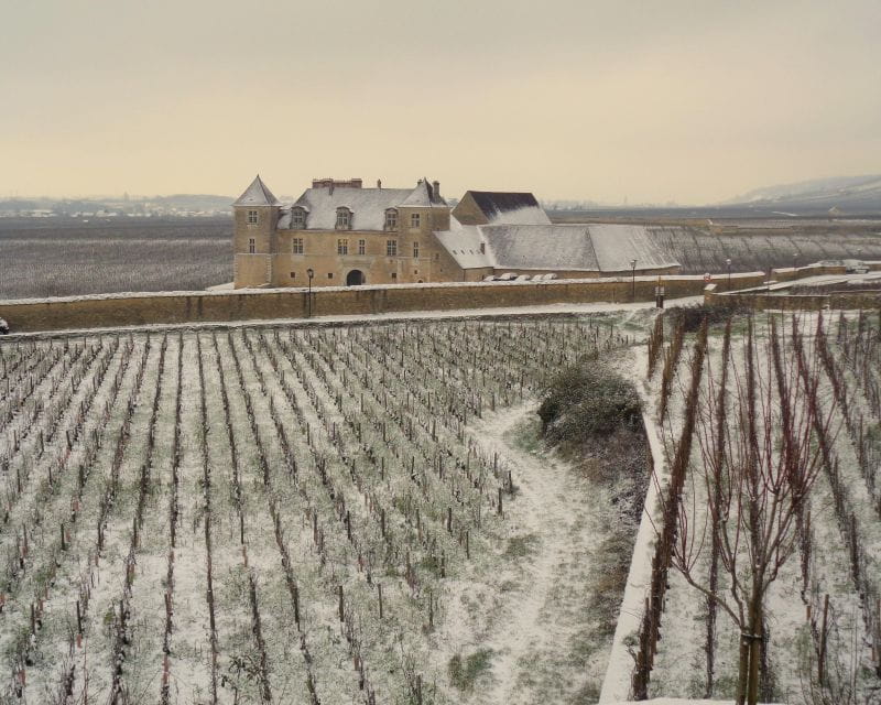 Private Wine-Tasting : Tour of Local Wine Producers. - Pick-up and Drop-off