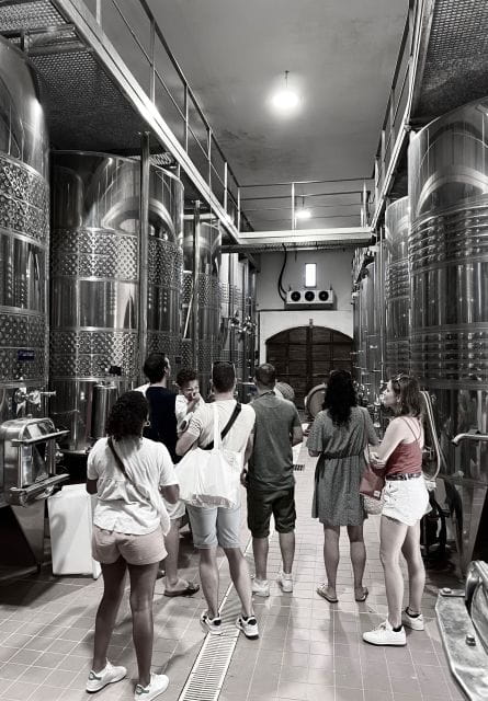 Private wine tastings around Calvi & Île-Rousse - Price & Value Analysis