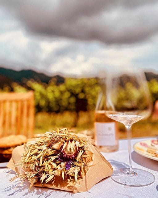 Private wine tour around Ile rousse & Calvi with transport - Key Points / Takeaways