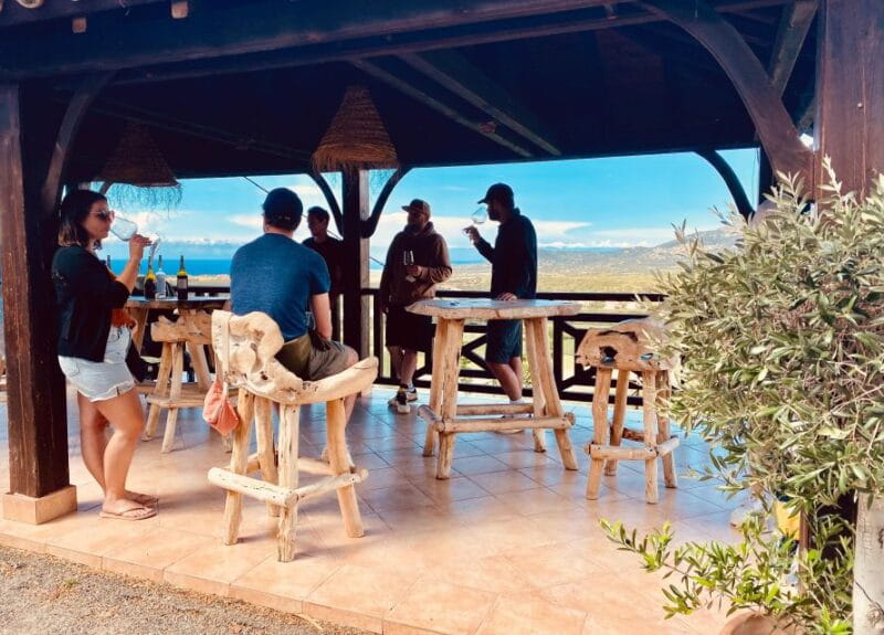 Private wine tour around Ile rousse & Calvi with transport - Entering the World of Corsican Wines: An Overview of the Experience