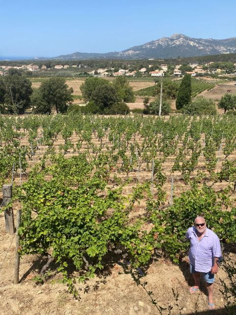 Private wine tour around Ile rousse & Calvi with transport - The Picnic in the Vines: A Taste of Local Flavors