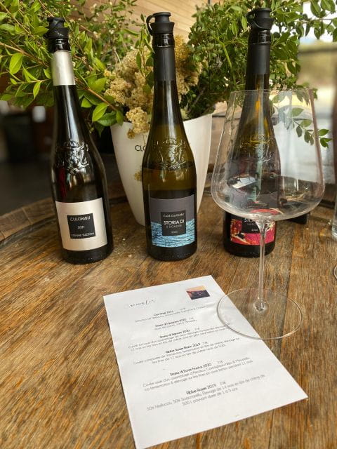 Private wine tour around Ile rousse & Calvi with transport - Logistics and Practicalities: What to Expect