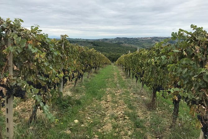Private wine tour in Chianti Classico with sommelier (2 wineries) - Exploring the Itinerary in Detail