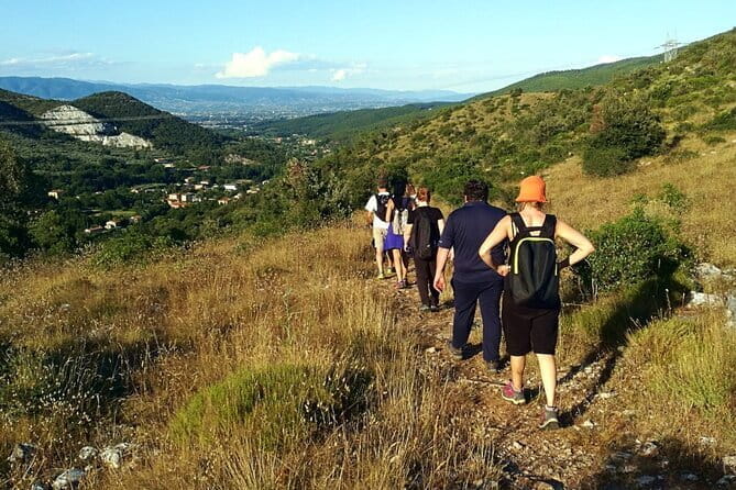 Private wine tour in Chianti Classico with sommelier (2 wineries) - The Sum Up