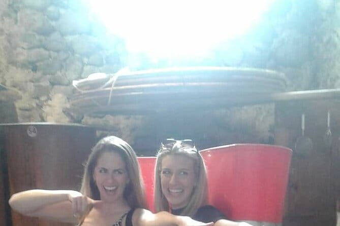 Private Wine Tour: Terraced Vineyards with Alpine view from Milan - Key Points / Takeaways