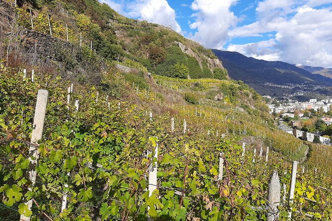 Private Wine Tour: Terraced Vineyards with Alpine view from Milan - Who Would Love This Tour?