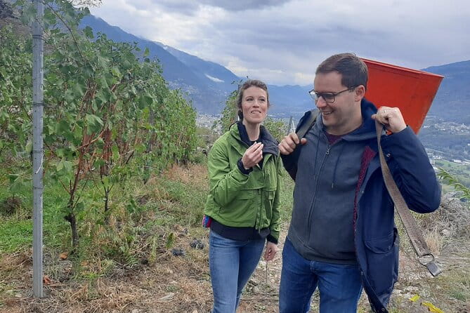 Private Wine Tour: Terraced Vineyards with Alpine view from Milan - Price and Value: Is It Worth It?