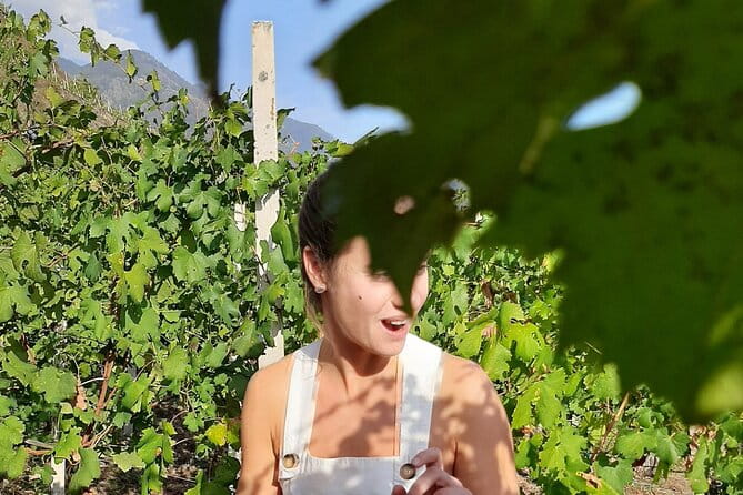 Private Wine Tour: Terraced Vineyards with Alpine view from Milan - Practical Considerations and Tips