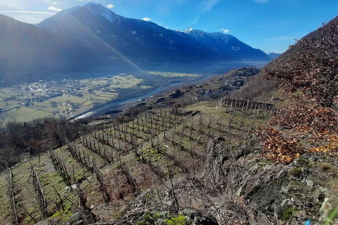 Private Wine Tour: Terraced Vineyards with Alpine view from Milan - Final Thoughts