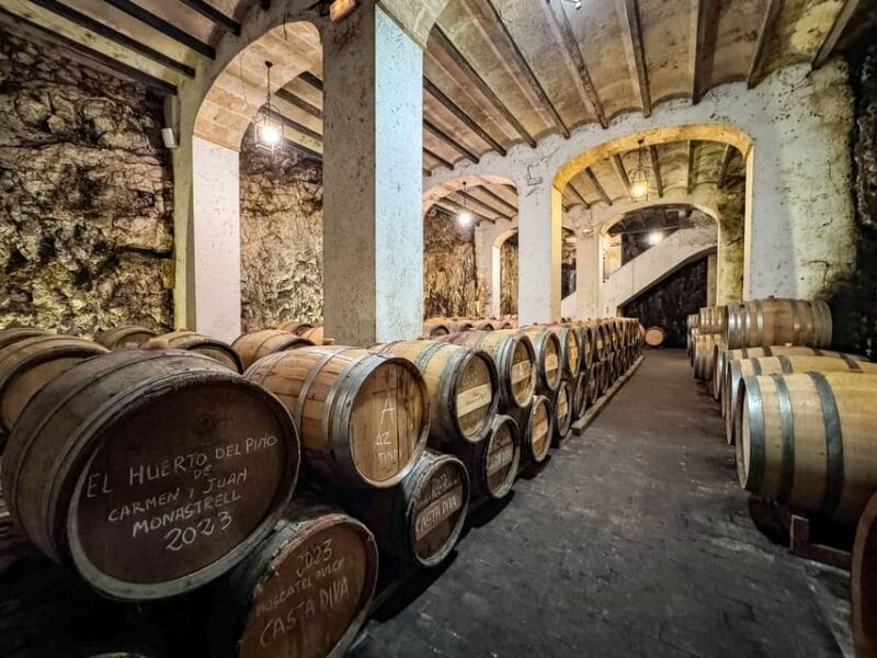 Private Wine Tour to the Costa Blanca Wineries - Price and Value: Is It Worth It?