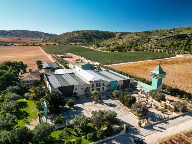 Private Wine Tour to the Costa Blanca Wineries - Practical Tips for Your Tour