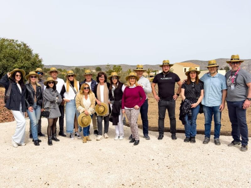 Private Wine Tour to the Costa Blanca Wineries - Final Thoughts