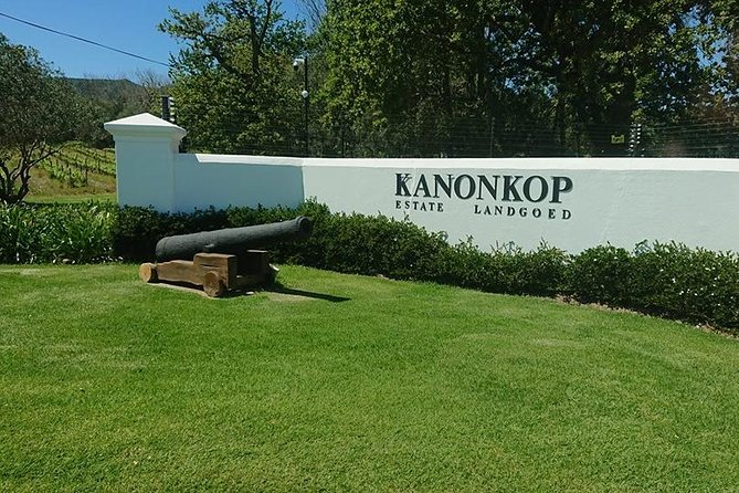 Private Wine Tour With Wine Expert to Stellenbosch-Franschhoek Wine Regions - Key Points