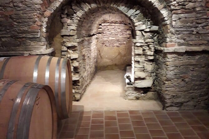 Private Winery and Vineyard Tour with Wine Tasting - Discovering Piedmont’s Wine Roots