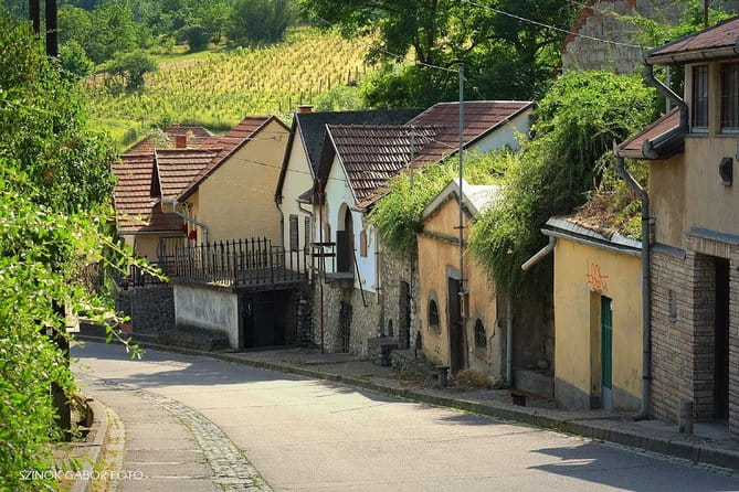 Private winetasting and sightseeing tour to Eger, home to Bull's Blood wine! - Price and Value Analysis