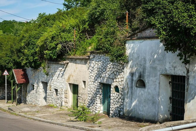 Private winetasting and sightseeing tour to Eger, home to Bull's Blood wine! - Final Thoughts