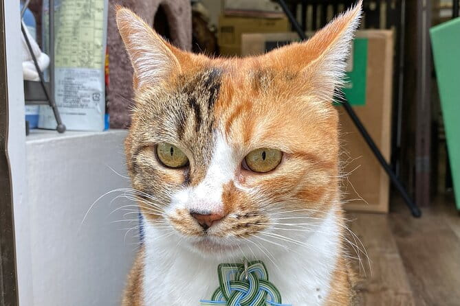 Private Workshop of Handmade Traditional Japanese Paper in Tokyo - What to Expect During the Experience