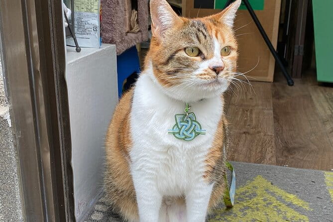 Private Workshop of Handmade Traditional Japanese Paper in Tokyo - Additional Information for Guests