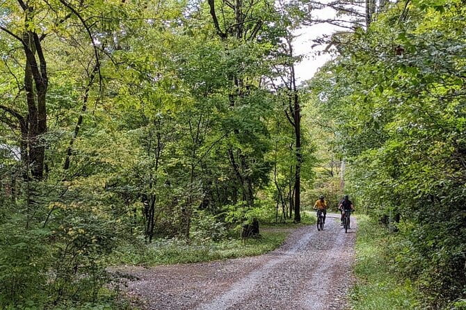 Private Yatsugatake Highland Guided Electric Bike Tour - Meeting and Pickup